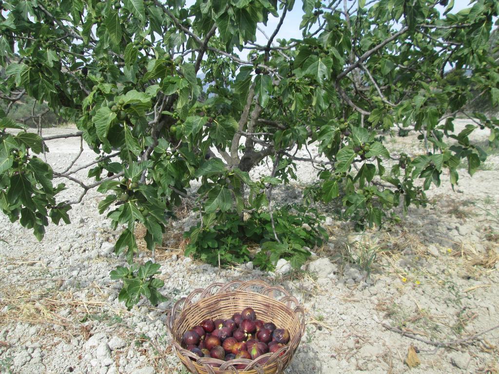 Agriturismo Donna Beatrice Бьанко Экстерьер фото